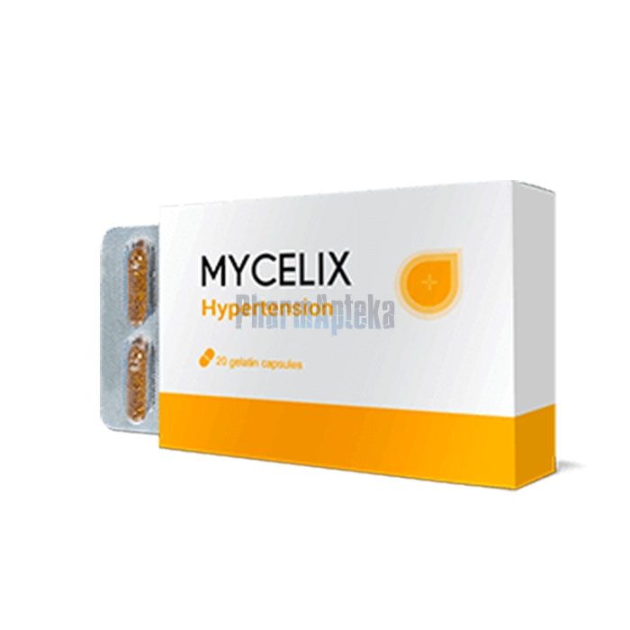 Mycelix ❖ remedy for hypertension ❖ in Botosani